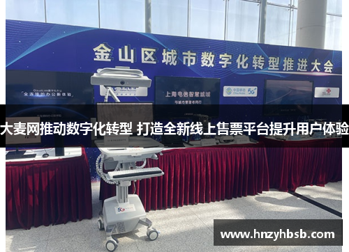 大麦网推动数字化转型 打造全新线上售票平台提升用户体验