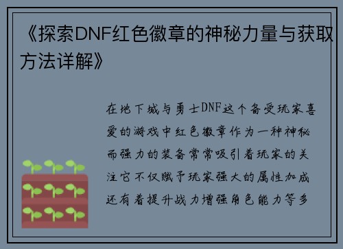 《探索DNF红色徽章的神秘力量与获取方法详解》