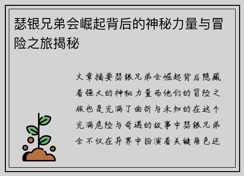 瑟银兄弟会崛起背后的神秘力量与冒险之旅揭秘